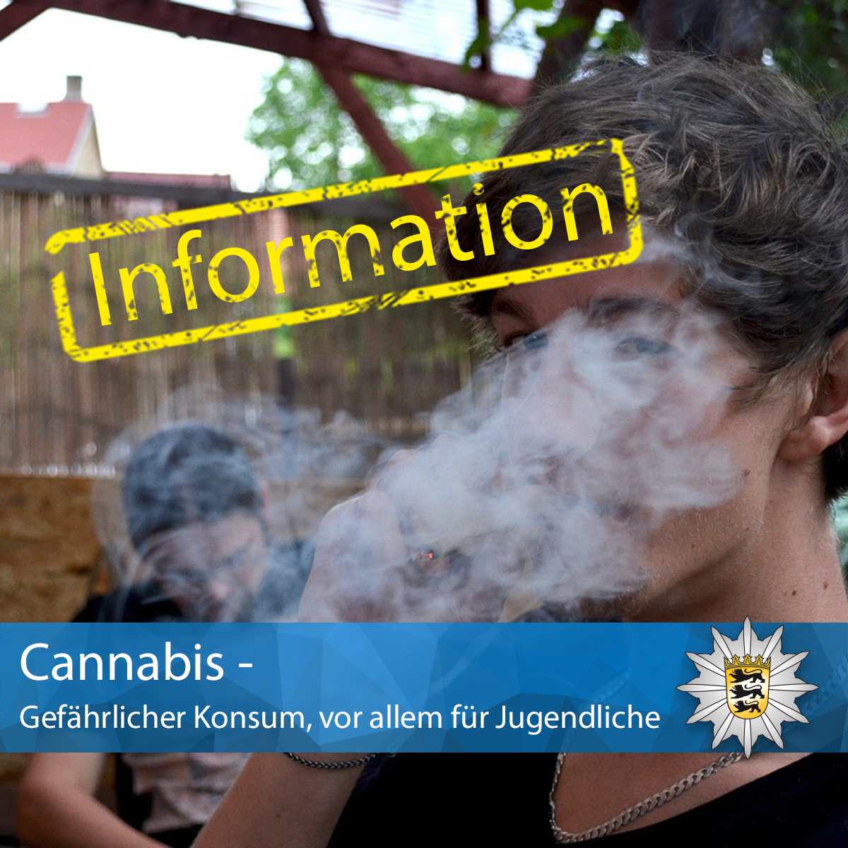 Beitragsbild zum Thema Cannabis